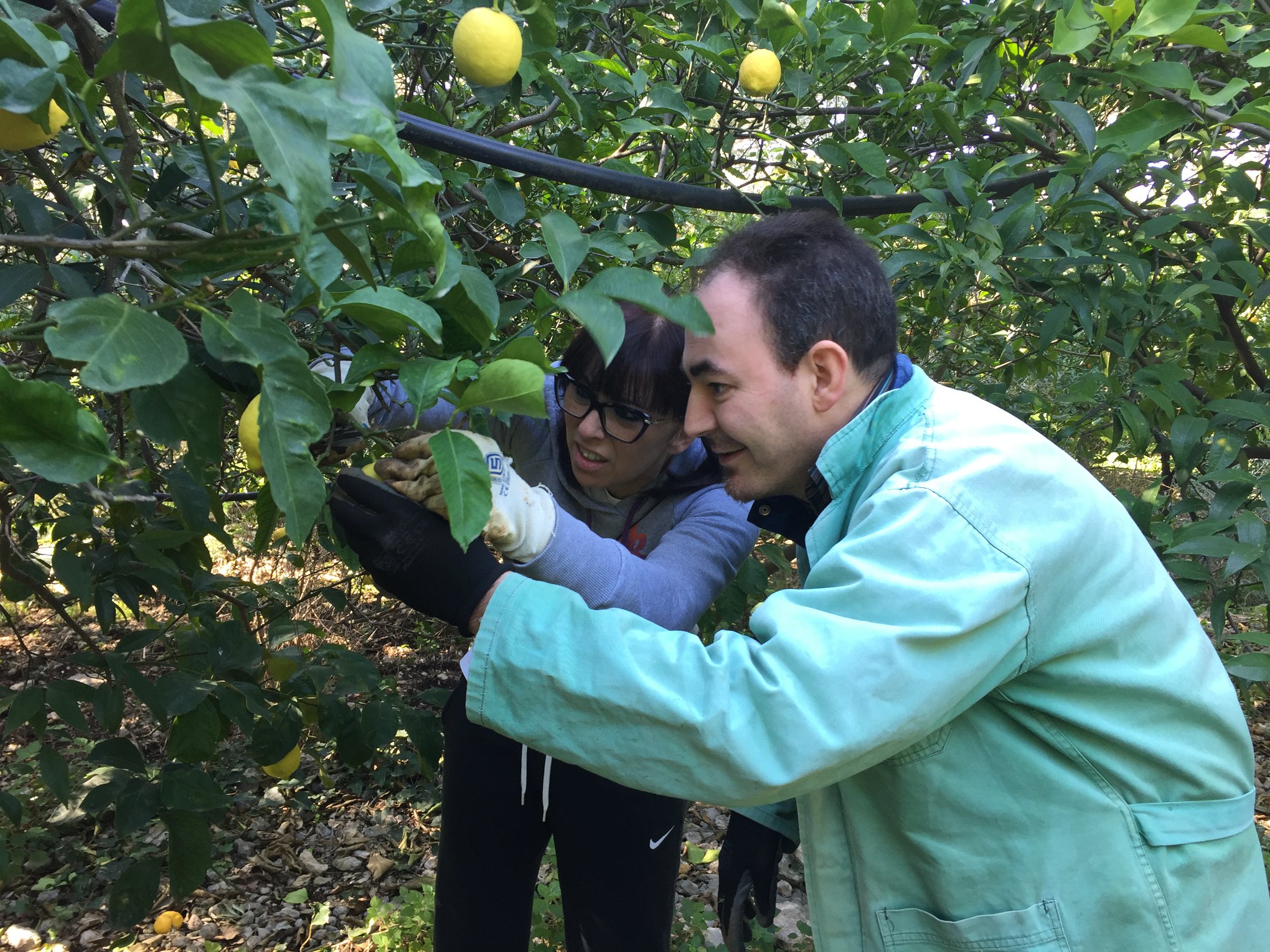 20200320 Allegra Brigata