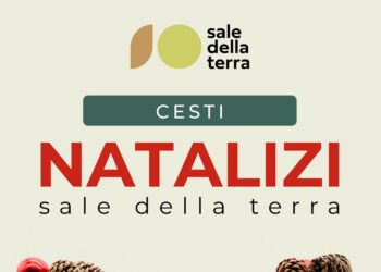 BENEVENTO: ECCO IL CESTO DI NATALE DELLA RETE DI ECONOMIA CIVILE “SALE DELLA TERRA”