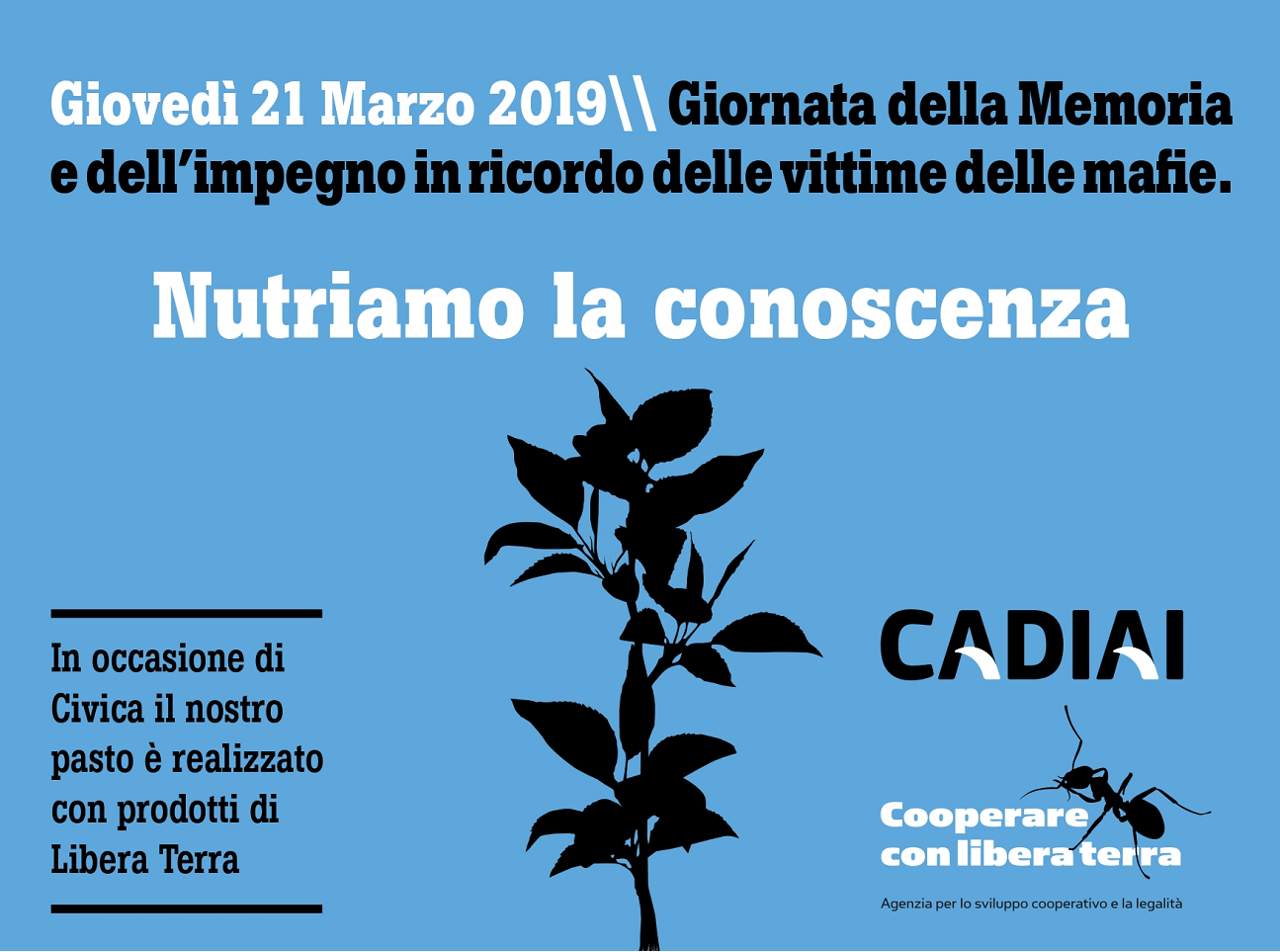 CADIAI