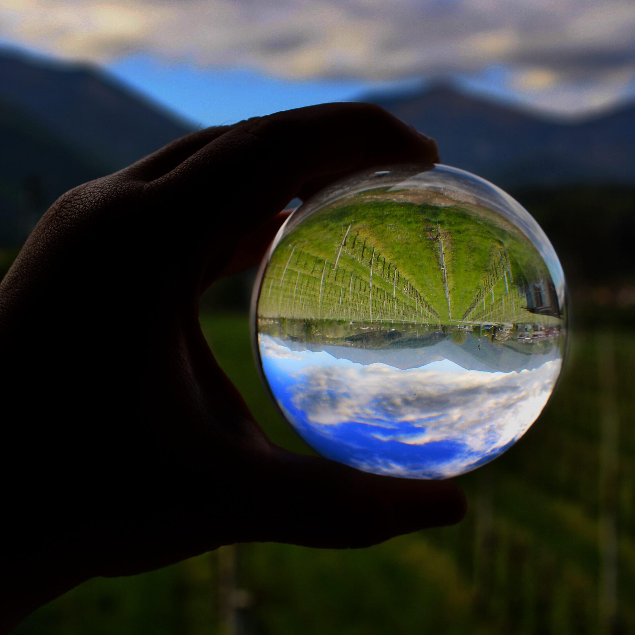 Il mondo a testa in giu Kimberly Lucchetta capovolta scaled