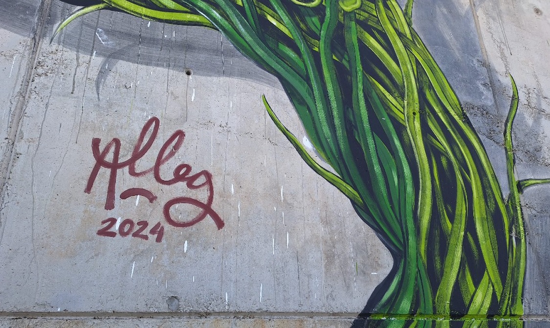 Empoli street art rems