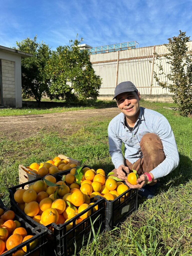 CASERTA, “BIOECONOMIA PER L’INCLUSIONE”: CHIUSO PROGETTO TERRA FELIX-NOVAMONT